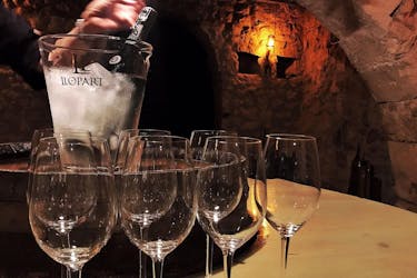 Winery tours with wine and sparkling wine tasting in Catalonia